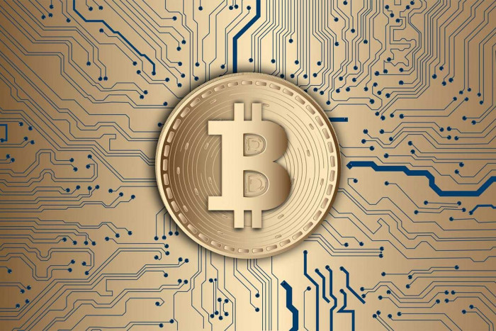 Bitcoin Co leaves digital assets spinning