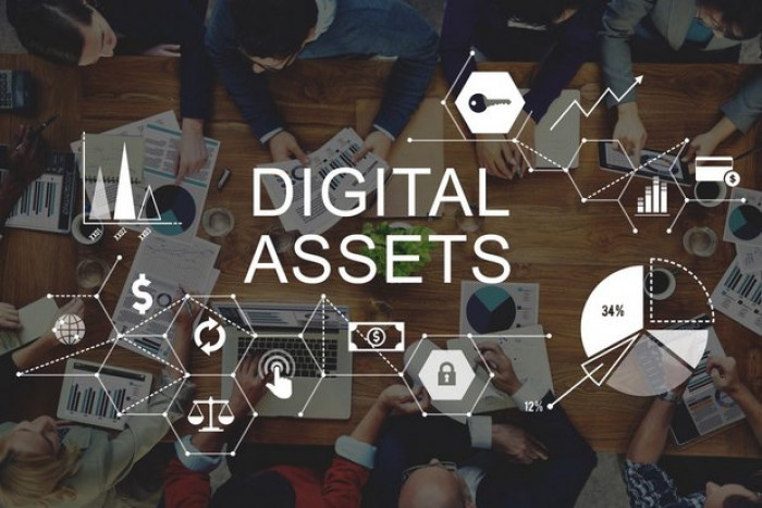 Digital asset licences issued