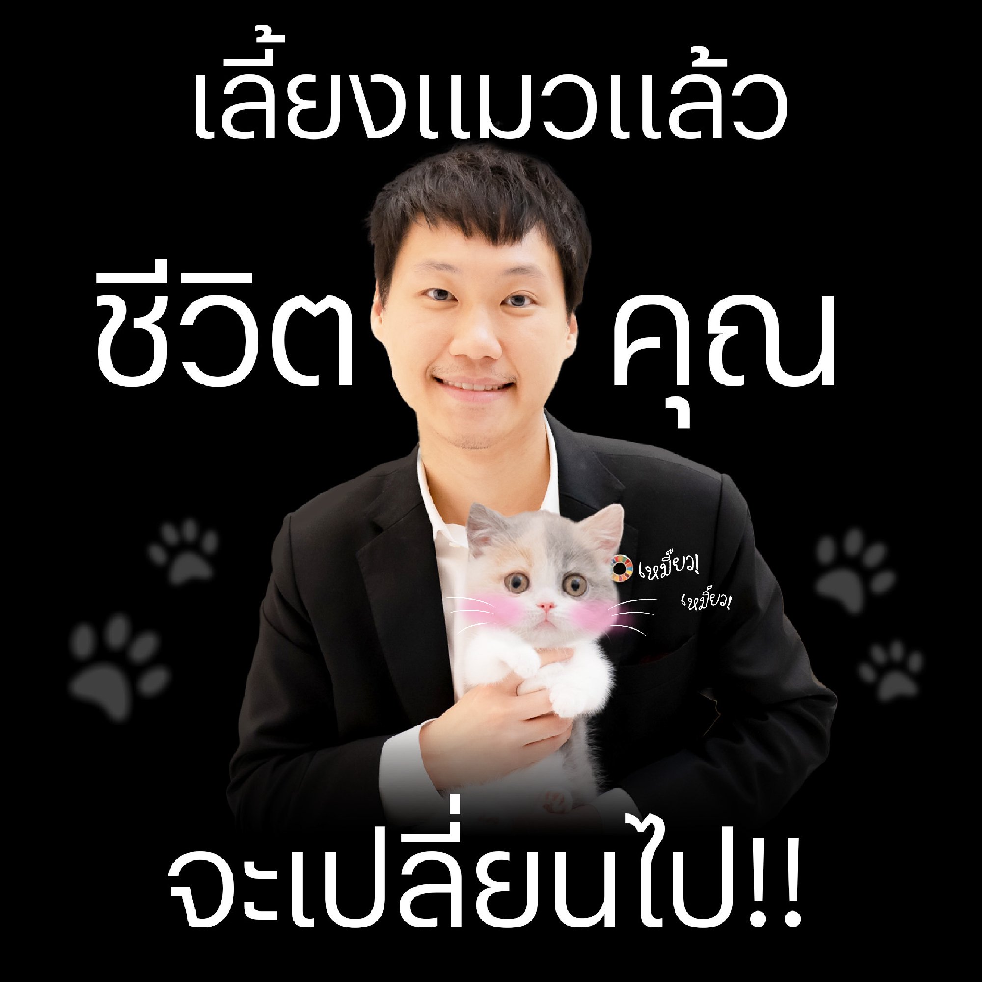 เลี้ยงแมวแล้วชีวิตคุณจะเปลี่ยนไปจริง ๆ ครับ 😂