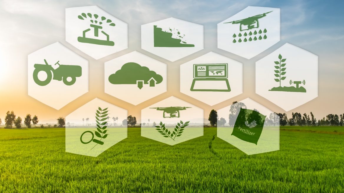 Blockchain for Agriculture
