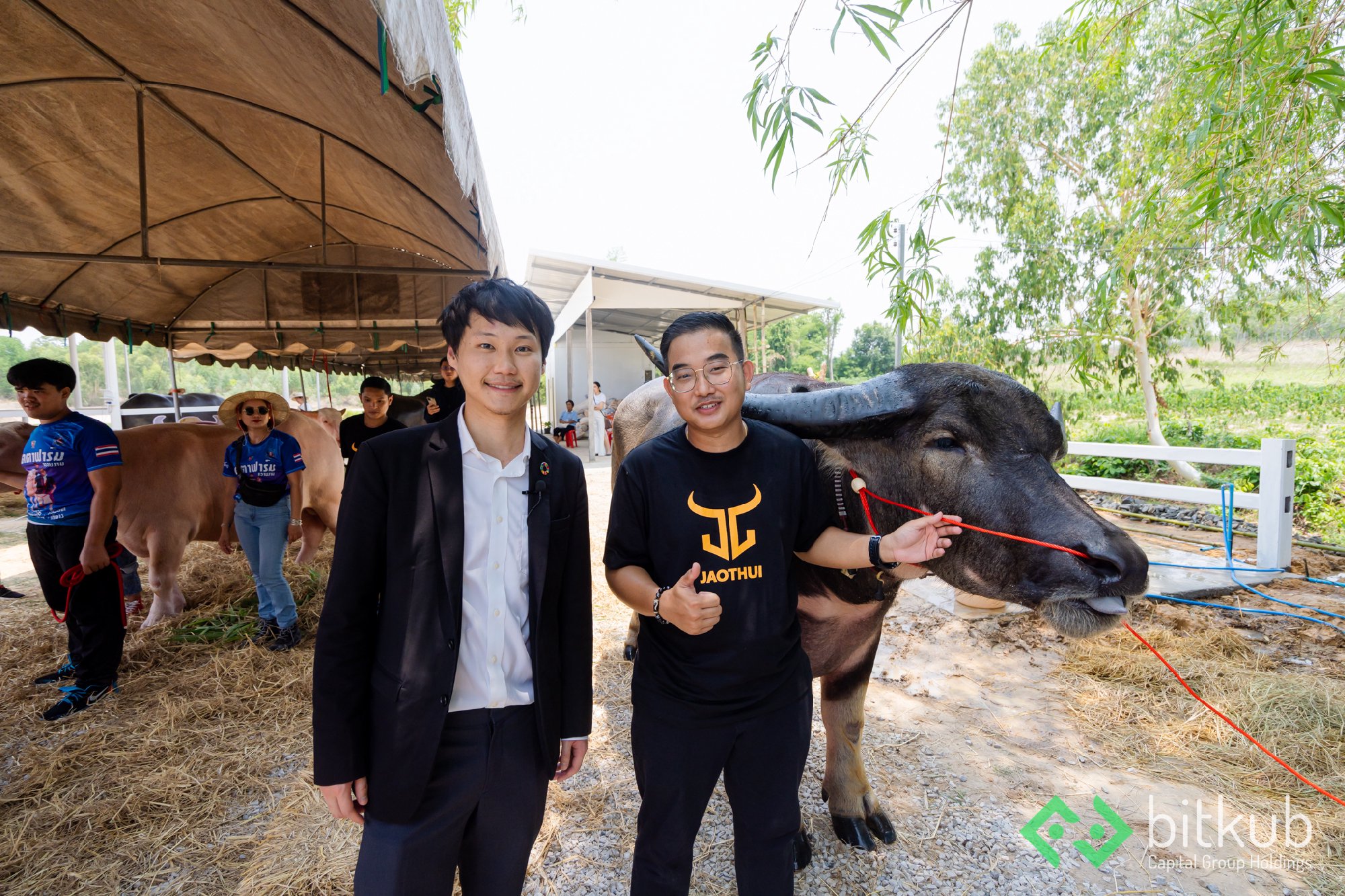 อนุรักษ์ควายไทยครับ